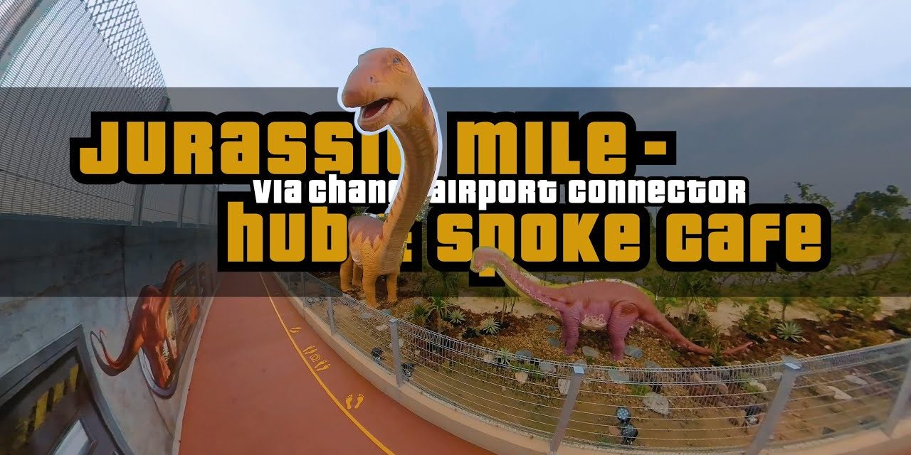 3.5KM Changi Airport Connector to Jurassic Mile, Hub & Spoke Cafe