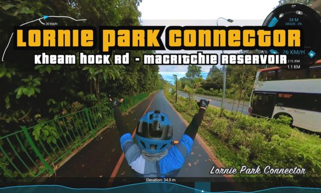 1.76KM Lornie Park Connector | Kheam Hock Rd – MacRitchie Reservoir