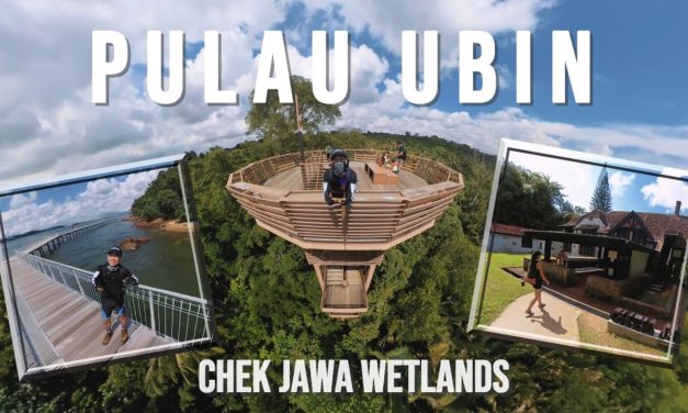 Tour: Chek Jawa Wetlands in Pulau Ubin Singapore | Jejawi Tower