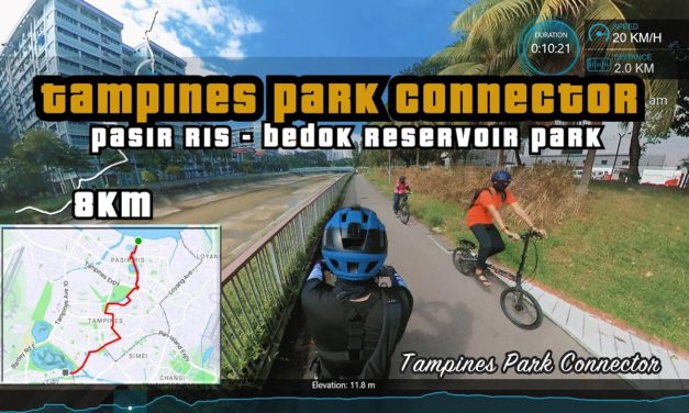 8KM Tampines Park Connector | Pasir Ris to Bedok Reservoir